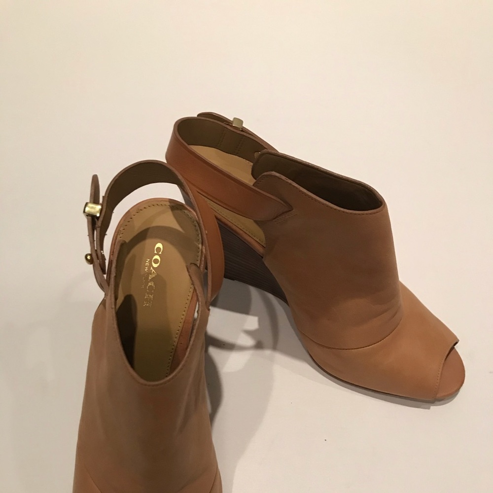 Shoe